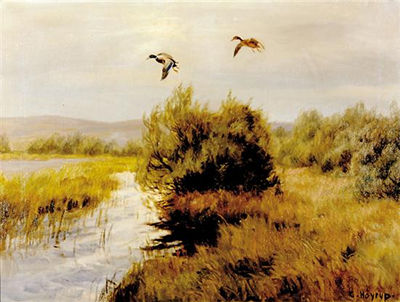 Carl Hoyrup : DUCKS OVER MARSH