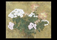 Shinya Yamamoto : Chrysanthemum in the basket