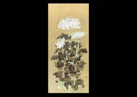 Tomoki Moriyama : Chrysanthemum