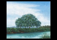 Kan Irie : Tree in the waterside