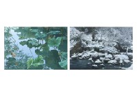 Hiromu Minakuchi : Lotus Pond and Winter (a set of 2)