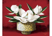 Misao Kono : Magnolia grandiflora