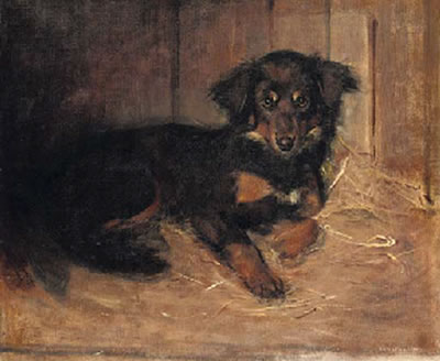 Samuel Fulton : Collie