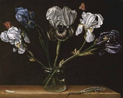 Paolo Porpora : Irises in a glass jar, a lizard and a caterpillar on a tabletop