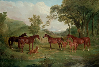 John Frederick Herring Sr : The Streatlam Stud, Mares and Foals