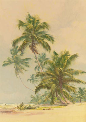 Carl Evers : Palm Trees on a Florida Beach