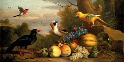 Jacob Bogdani : A Bullfinch, a Chough, a Jay and a Sun Conure with quinces, grapes and melons in a landscape