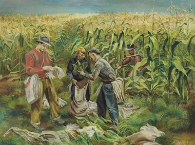 Joe (Joseph John) Jones : Cornfield