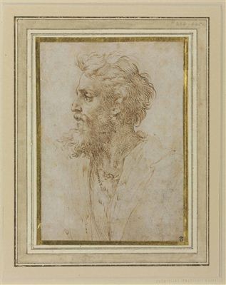 Francesco (Parmigianino) Mazzola : Head of a bearded man in profile facing left, possibly a self-portrait