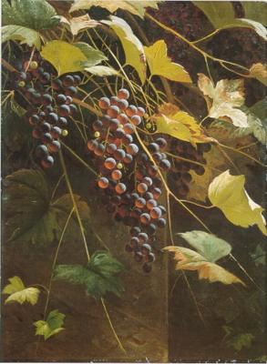 Andrew John Henry Way : Wild Grapes