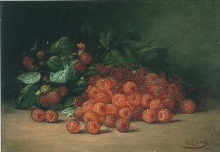 August Laux : Raspberries