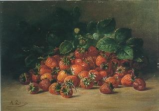 August Laux : Strawberries