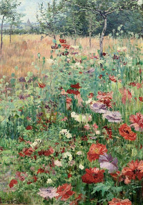 Juliette Wytsman : Coquelicots: the poppy field