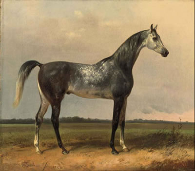 Alois Bach : A gray horse in the meadow