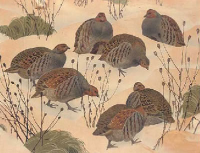 Charles Frederick Tunnicliffe