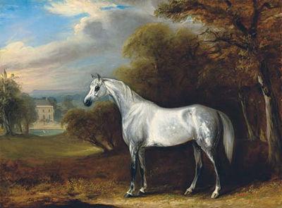 John (Junior) Ferneley II : A Grey Arabian in a Landscape