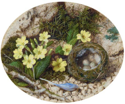 John Sherrin : Primroses, a crocus and a bird's nest, on a mossy bank