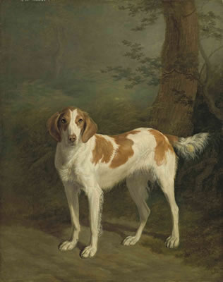 Jacques Laurent (J L) Agasse : Dash, a setter in a wooded landscape