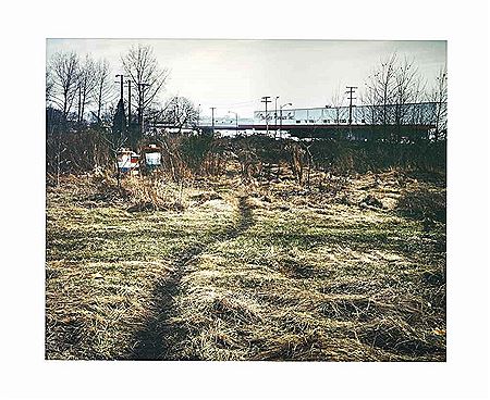 Jeff Wall : The Crooked Path