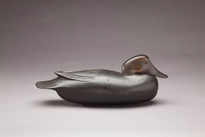 Thomas Tom Fitzpatrick : Tucked-Head Black Duck