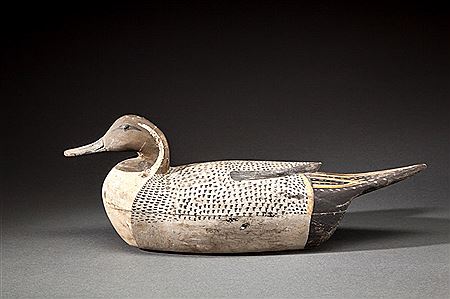 Thomas Tom Fitzpatrick : Pintail Drake