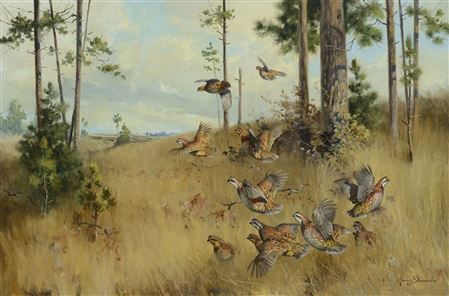 George Browne : Under the Pines - Quail