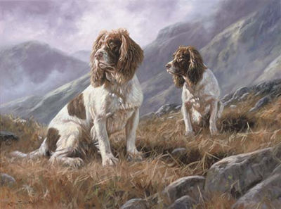 John Trickett : Springer spaniels on the moor