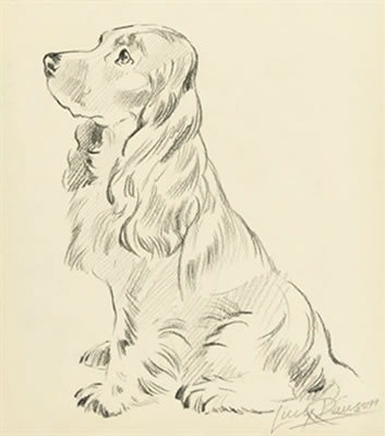 Lucy Dawson : Five studies of dogs including: A cocker spaniel; and A terrier