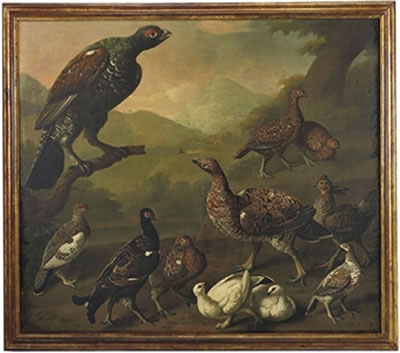 Philip Reinagle : A large male black grouse, Lyrurus tetrix, perched on a branch and surrounded by a variety of other grouse including male and female varieties of red grouse, Lagopus lagopus, and Ptarmigans displaying both summer and winter plumage