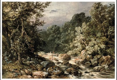 William Bennett : The trout stream