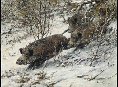 Willi Lorenz : Boars running through a winter forest