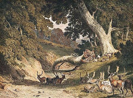 Robert Hills : Stags and hinds in a park by a river