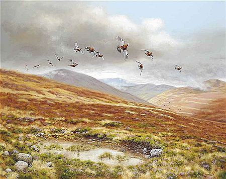 Richard Robjent : DRIVEN GROUSE, INVERCAULD