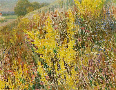 Juliana Winterova Mezerova : A Summer Hillside