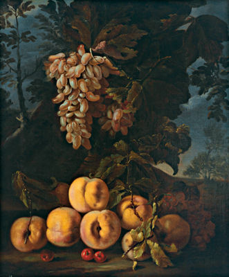 Bartolomeo (Il Giovane) Castelli : Still life with Grapes and Peaches