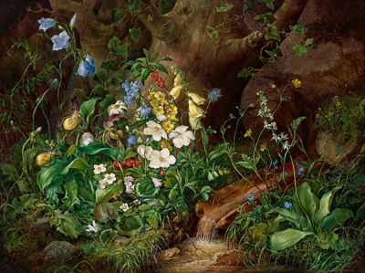 Franz Xavier Petter : Large Still Life of Alpine Flowers with Snow Roses, Bluebells, Lady's Slippers and White Wild Cyclamen