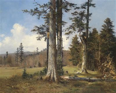 Anton Heinrich Dieffenbach : View of a Forest Clearing