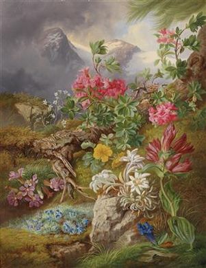 Josef Schuster : Alpine Flowers set against a mountain background