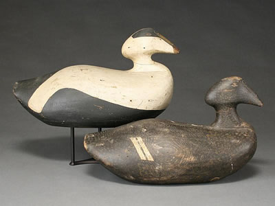 Amos G Wallace : Pair of oversized eiders