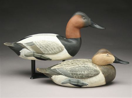 Corbin Reed : Pair of canvasbacks