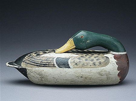 George Barto : Preening mallard drake