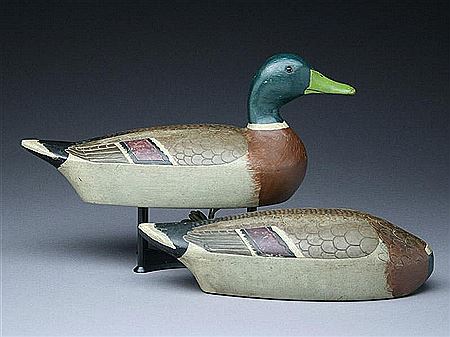 Paul Lipke : Rare mallard drakes (2)