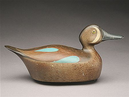 Paul Lipke : Rare bluewing teal drake