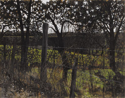 James Richard Blake : A Fence Line