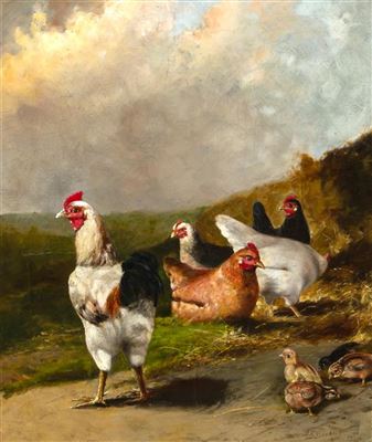 David Bechtel : Chickens