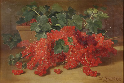 John Clinton Spencer : Still Life with Grapes