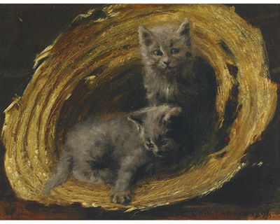 Owen Staples : The Kittens