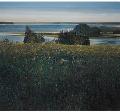 Ronald William (Ron) Bolt : FARLEY'S FIELD, CAPE BRETON IS.