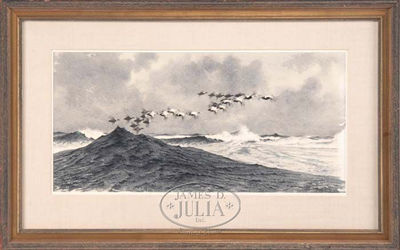 Robert Clem : EIDERS IN FLIGHT OVER WAVES