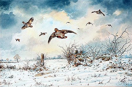 Carl Martin Donner : PARTRIDGE OVER FIELDS